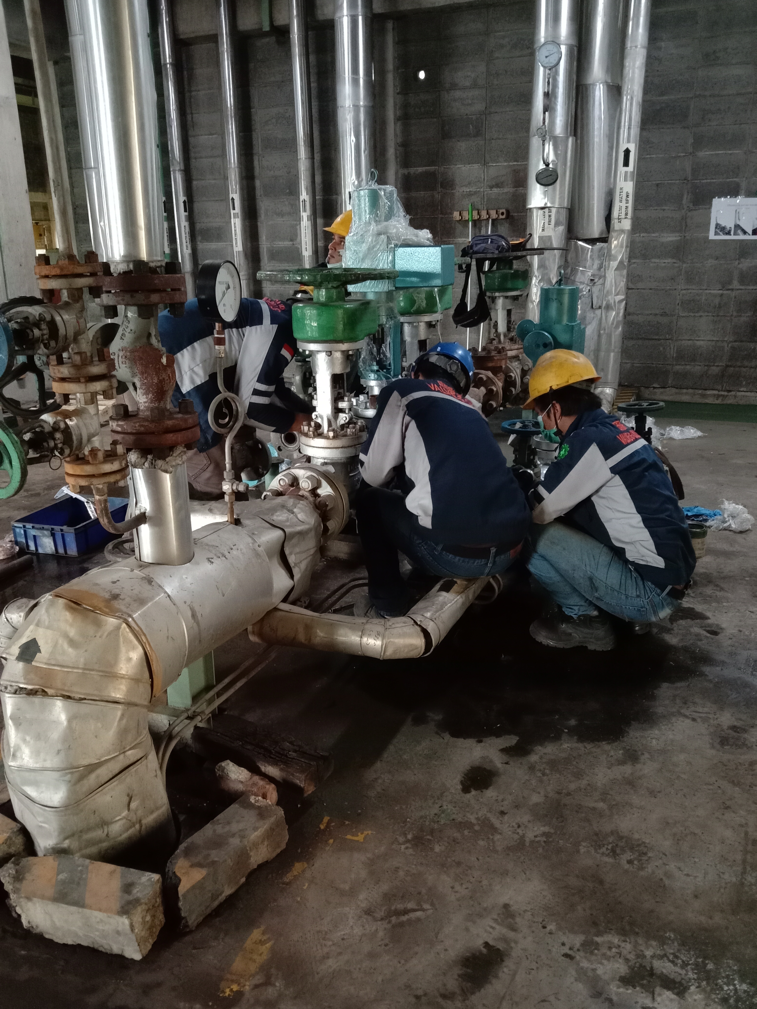 Valve Repair Project